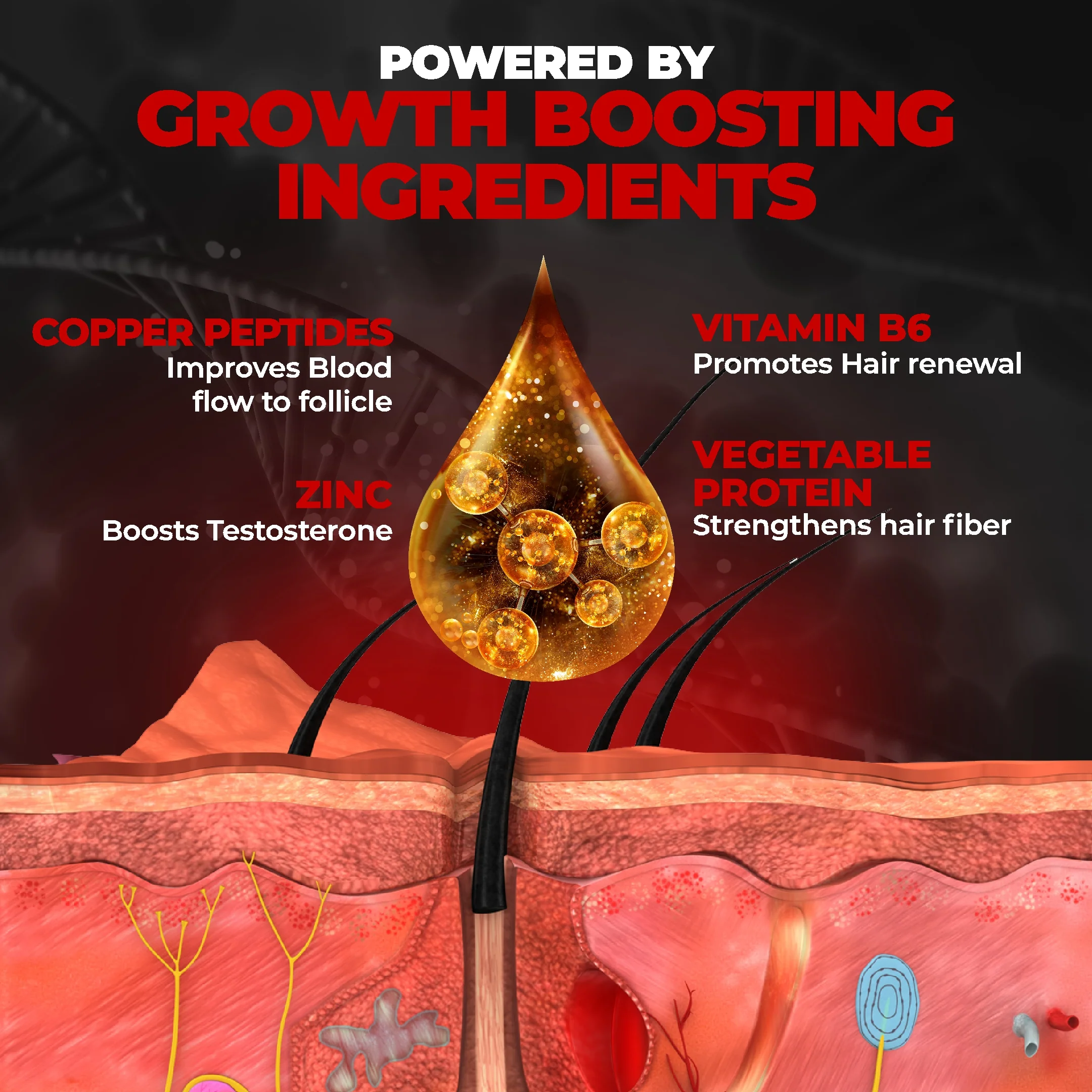 Beard Growth Duo - Image 10